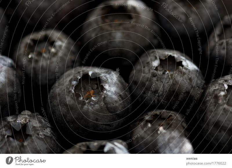 Detailed view: blueberries with water drops Blueberry hay berry blueberry Vitamin Fruit Healthy Summer Autumn Eating Black Harvest Sweet Drops of water Close-up