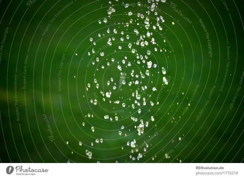 water flowers Water Green Drop Cast Meadow Lawn Garden Wet Fresh Inject Colour photo Exterior shot Copy Space left Day Reflection Sunlight Blur