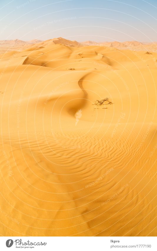 empty quarter and outdoor Beautiful Vacation & Travel Tourism Adventure Safari Summer Sun Nature Landscape Sand Sky Horizon Park Hill Hot Wild Yellow Gold Gray