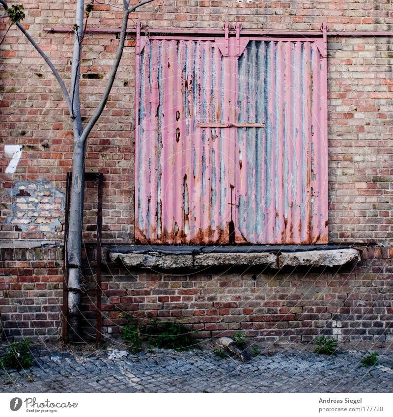 7 Colour photo Subdued colour Exterior shot Deserted Day Industry Trade Logistics Tree Port City Outskirts Building Architecture Warehouse Depot Ladder