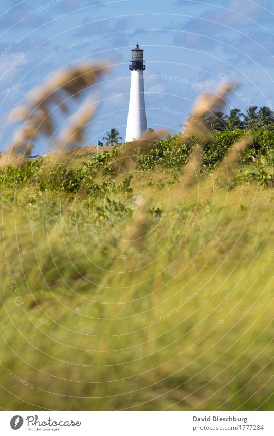 Lighthouse II Vacation & Travel Tourism Nature Landscape Sky Spring Summer Autumn Beautiful weather Plant Grass Foliage plant Coast Bay Fjord North Sea