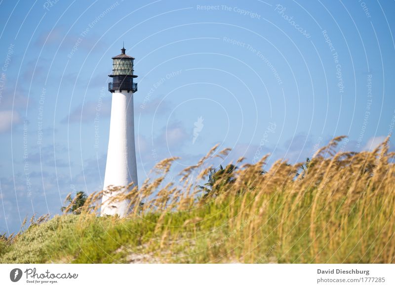 Lighthouse/Key Biscane Vacation & Travel Summer vacation Beach Ocean Island Nature Landscape Sky Clouds Beautiful weather Plant Coast North Sea Baltic Sea