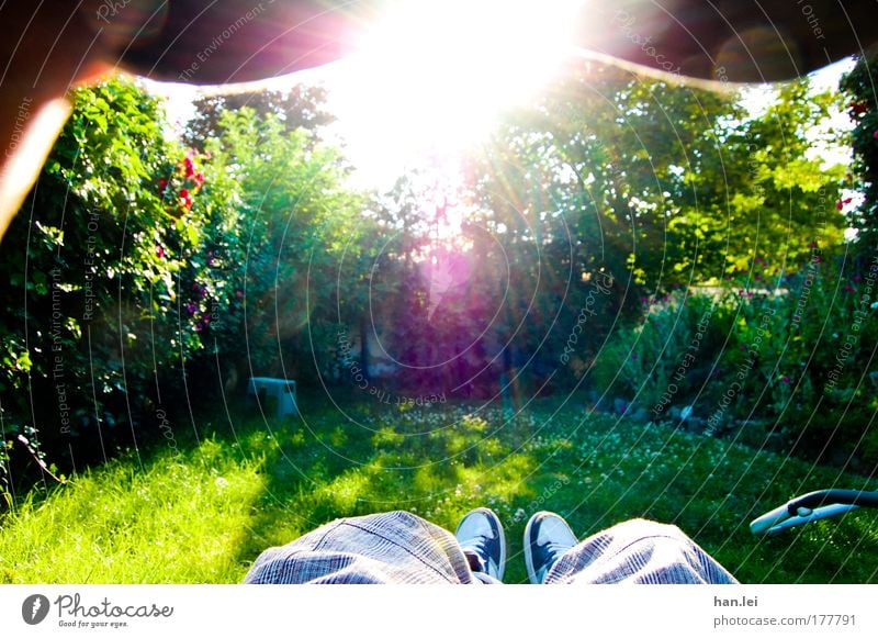 in the garden Colour photo Multicoloured Exterior shot Day Light Sunlight Sunbeam Back-light Central perspective Half-profile Legs Feet 1 Human being Nature