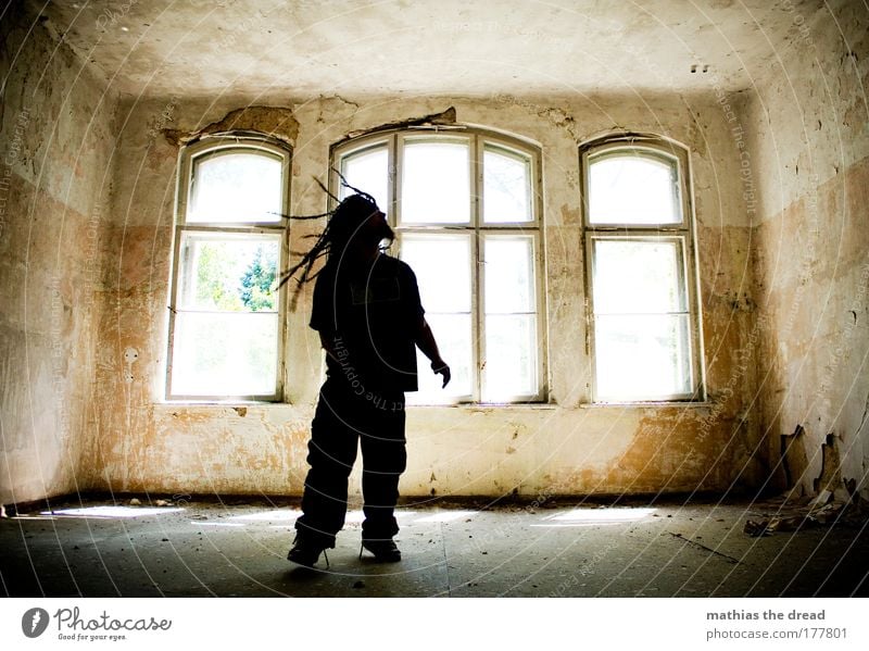 THE POSSIBLY LONGEST HAIR ... Colour photo Subdued colour Interior shot Copy Space top Day Light Shadow Contrast Silhouette Light (Natural Phenomenon) Sunlight