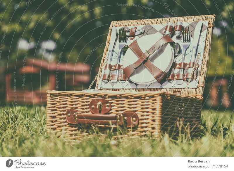 Opened Picnic Basket With Cutlery In Spring Green Grass Lunch Plate Knives Fork Spoon Vacation & Travel Summer Garden Nature Container Brown field food