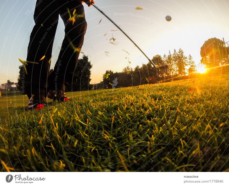 Golf: short game using a wedge iron club. Lifestyle Joy Relaxation Leisure and hobbies Playing Vacation & Travel Sun Club Disco Sports Success Human being Man