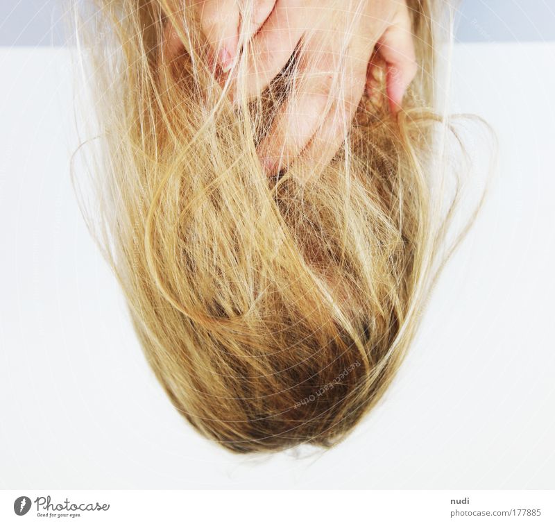 center Colour photo Interior shot Neutral Background Day Artificial light Shallow depth of field Hair and hairstyles Skin Human being Feminine Young woman