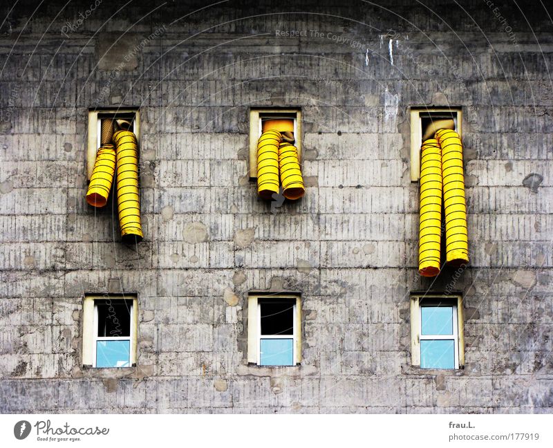 Mr. Tuttle!!!!!! Colour photo Exterior shot Day Contrast Deep depth of field Port City House (Residential Structure) Manmade structures Building Architecture