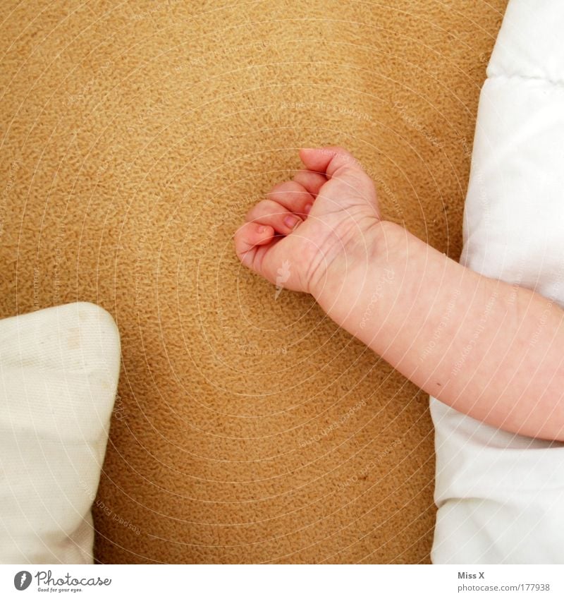 midday nap Colour photo Interior shot Close-up Detail Copy Space top Copy Space bottom Relaxation Calm Bedroom Child Baby Infancy Life Arm Hand 0 - 12 months