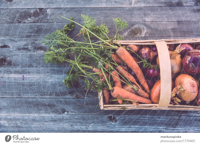 fresh organic harvest urban gardening Food Vegetable Lettuce Salad Carrot Basket Onion Urban gardening self-sufficiency self-catering Nutrition Lunch Picnic