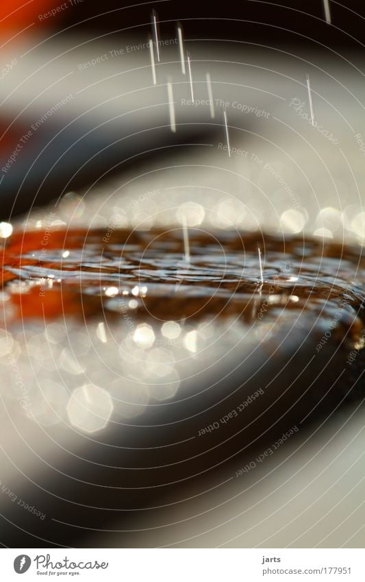 wet,wet,wet Colour photo Exterior shot Close-up Detail Deserted Day Light Sunlight Deep depth of field Central perspective Long shot Elements Water