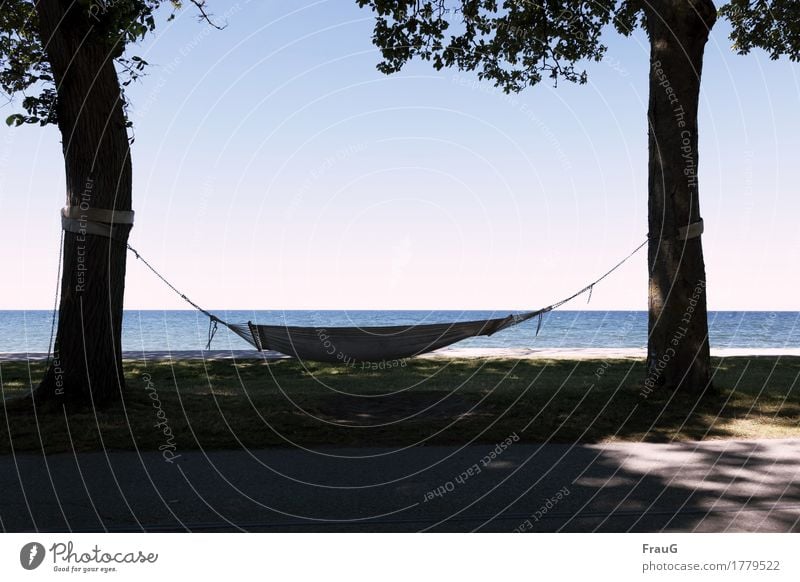 The summer was beautiful Relaxation Calm Meditation Summer Summer vacation Ocean Island Tree Beach Baltic Sea Gotland Hammock Rope To swing Safety (feeling of)