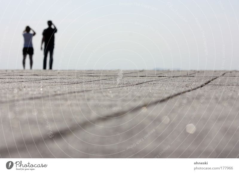 beautiful views Subdued colour Exterior shot Copy Space right Copy Space bottom Copy Space middle Day Light Sunlight Blur Shallow depth of field Rear view