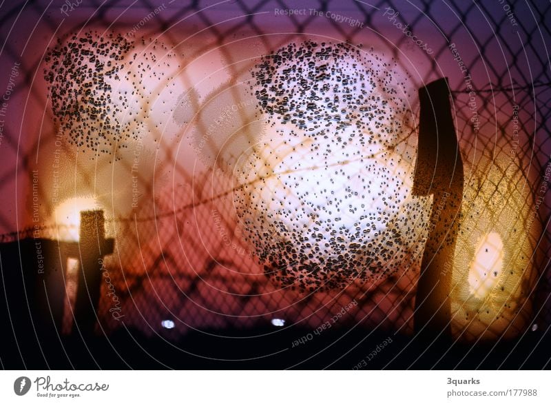 wire netting Colour photo Exterior shot Experimental Deserted Evening Light (Natural Phenomenon) Sunrise Sunset Back-light Art Work of art Environment Fire