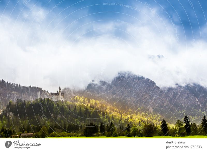 Neuschwanstein Castle Looking Deep depth of field Reflection Copy Space middle Copy Space left Exterior shot Allgäu Alps Emotions Peak Monument Bavaria