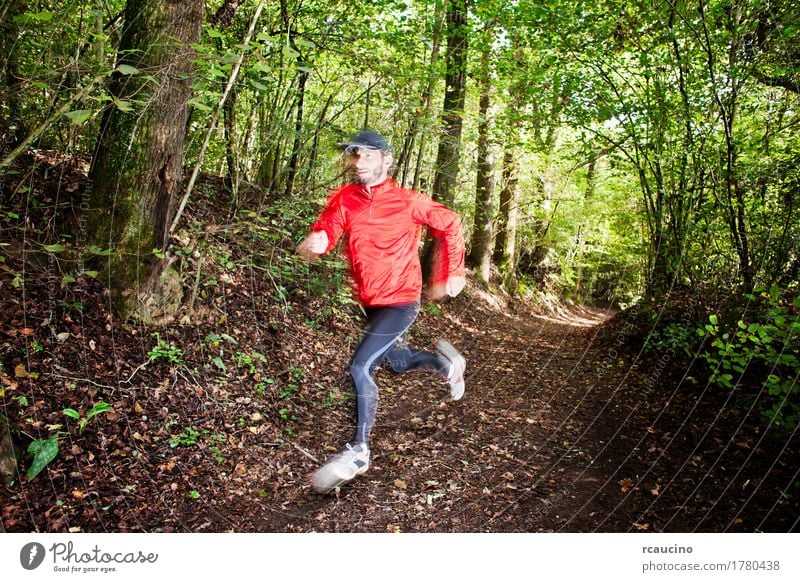 trail runner running in the forest on a trail Lifestyle Joy Summer Sports Boy (child) Man Adults Feet Plant Tree Forest Lanes & trails Footwear Movement Red