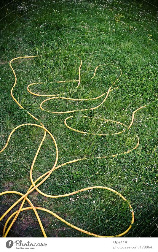 Cross & Cross Colour photo Exterior shot Detail Structures and shapes Deserted Day Contrast Forward Environment Nature Plant Beautiful weather Grass Garden