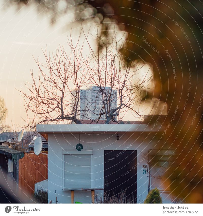 Allotments IV Environment Autumn Garden House (Residential Structure) Hut Contentment Attentive Patient Calm Integrity Modest Horticulture Garden plot