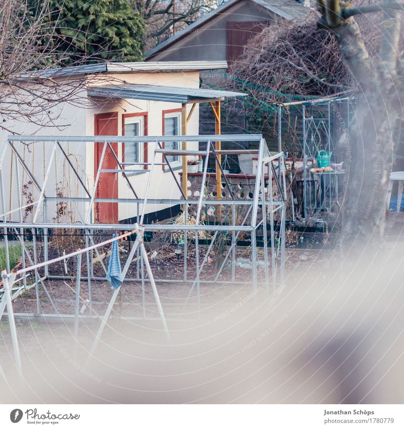 Allotments I Environment Nature Landscape Autumn Winter Garden House (Residential Structure) Hut Esthetic Happy Contentment Joie de vivre (Vitality) Attentive