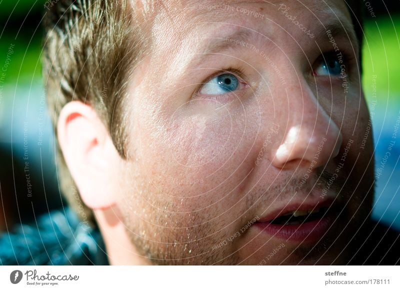 DANIEL-SUN Colour photo Multicoloured Exterior shot Interior shot Light Shadow Sunlight Shallow depth of field Portrait photograph Upward Looking away