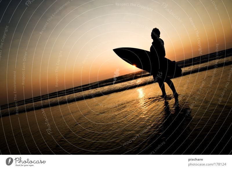 Sunset Star Beautiful Summer Beach Ocean Water Sky Horizon Esthetic Athletic Cliche Romance Surfing Portugal pischarean Dusk Surfer Vignetting Colour photo