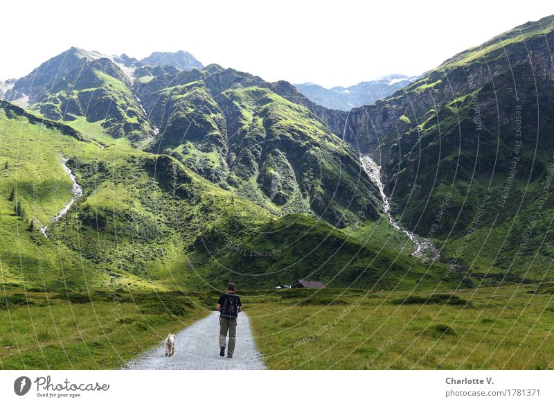 On wanderings Trip Summer vacation Mountain Hiking Human being Masculine Man Adults 1 45 - 60 years Nature Landscape Beautiful weather Grass Alps