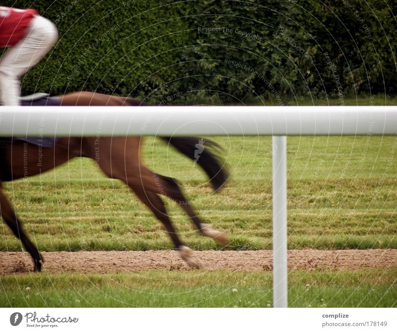 western from yesterday Colour photo Exterior shot Copy Space right Copy Space top Joy Happy Ride Sports Equestrian sports Sportsperson Cup (trophy) Success