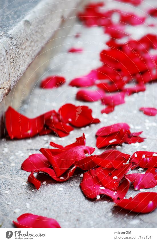 Wedding. Colour photo Exterior shot Close-up Detail Macro (Extreme close-up) Experimental Pattern Deserted Copy Space left Copy Space right Copy Space top