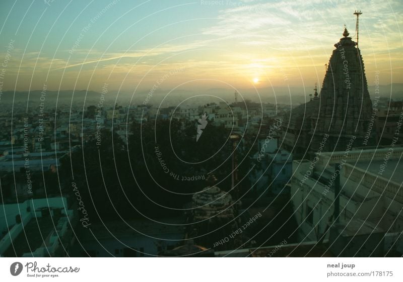 Early bird in Udaipur Colour photo Subdued colour Exterior shot Dawn Silhouette Sunrise Sunset Deep depth of field Long shot Vacation & Travel City trip India