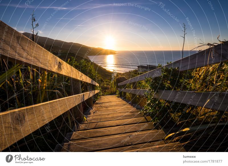 follow the light Landscape Sky Sun Sunlight Summer Beautiful weather Plant Coast Beach Ocean Blue Gold New Zealand Stairs Banister Sunset Tasman sea