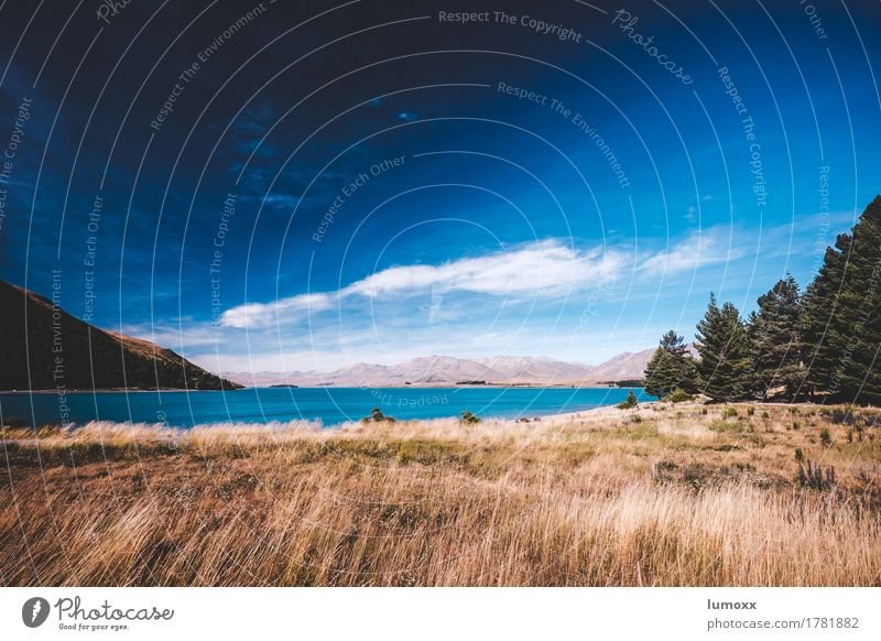 wanderlust Nature Landscape Water Sky Clouds Summer Beautiful weather Grass Lakeside Lake Tekapo Dream Blue Brown New Zealand South Island Wanderlust