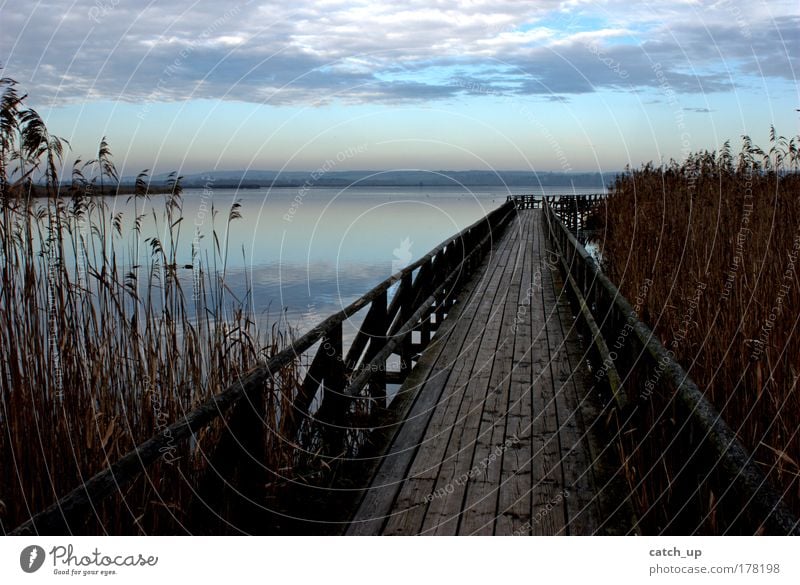 hope Colour photo Exterior shot Deserted Morning Contrast Nature Landscape Water Sky Clouds Lakeside Bog Marsh spring lake Optimism Peace Hope Footbridge