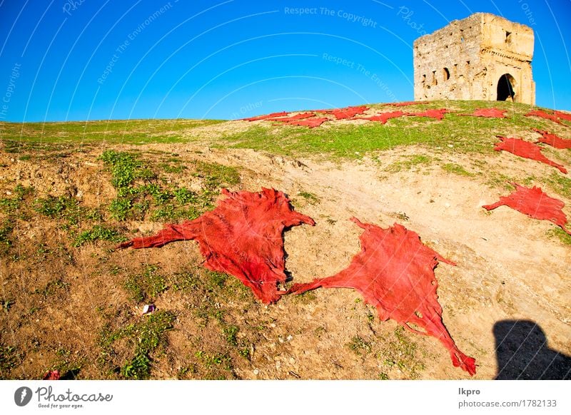 sand dune in oman old desert rub al khali Skin Vacation & Travel Tourism Summer Mountain Craft (trade) Business Animal Hill Castle Ruin Building Architecture