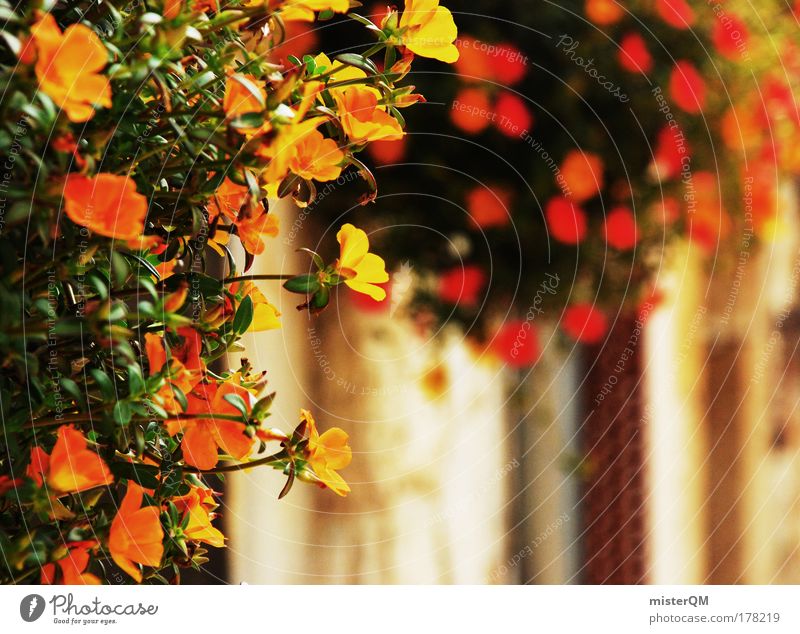 Spanish flair. Colour photo Multicoloured Exterior shot Close-up Detail Pattern Deserted Copy Space right Copy Space bottom Neutral Background Day Light Shadow