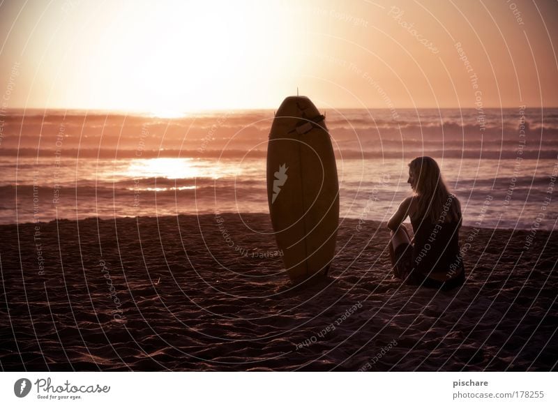 my girl Colour photo Exterior shot Copy Space left Copy Space top Evening Twilight Contrast Silhouette Sunlight Back-light Beautiful Freedom Summer Beach Ocean