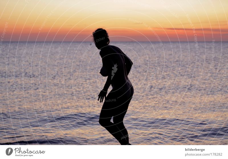 towards the sun Colour photo Multicoloured Exterior shot Evening Twilight Night Light Shadow Silhouette Sunrise Sunset Upper body Full-length Forward Lifestyle