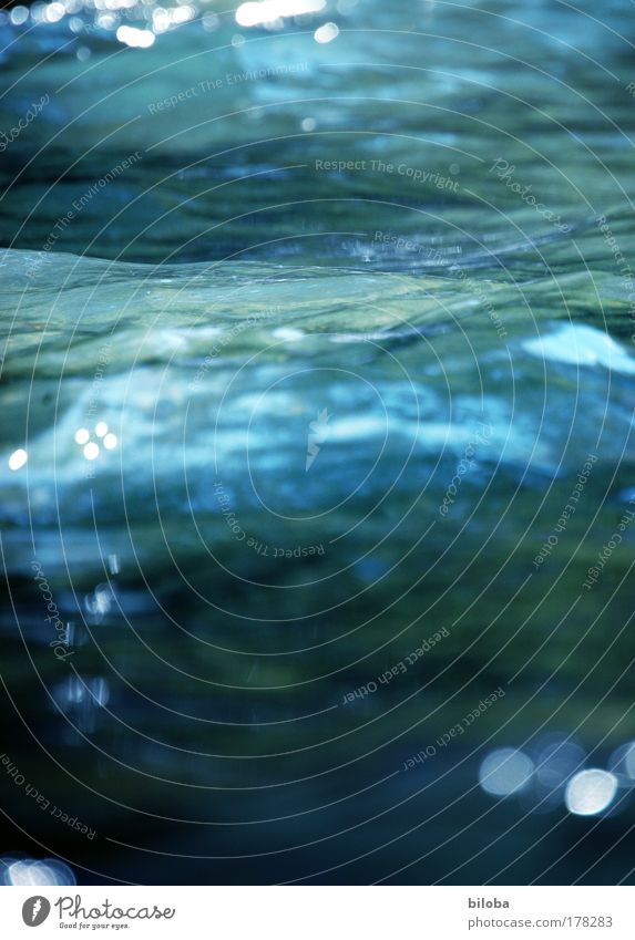 deep blue Colour photo Exterior shot Close-up Detail Experimental Structures and shapes Copy Space left Copy Space right Copy Space bottom Copy Space middle Day