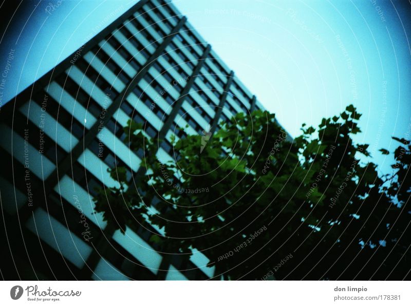 skyscraper Exterior shot Lomography Copy Space right Evening Silhouette Back-light Deep depth of field Worm's-eye view Living or residing Flat (apartment)