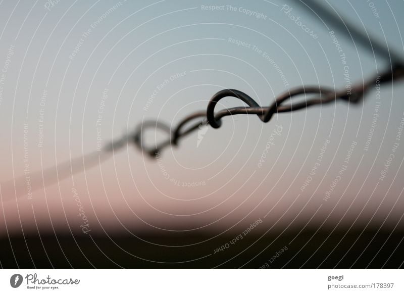 Twisted Metal Border Fence Barrier Pasture fence Wire Wire fence Coil Horizon Wrapped around Distorted Entwine Colour photo Exterior shot Detail Deserted