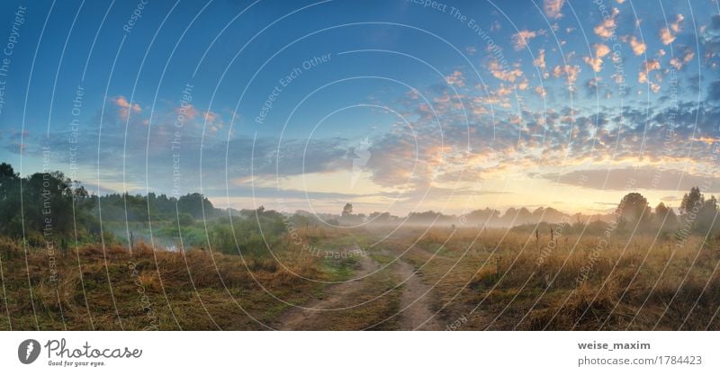 Foggy river in the autumn morning Vacation & Travel Summer Beach Wallpaper Nature Landscape Sky Clouds Sunrise Sunset Autumn Beautiful weather Tree Grass Bushes