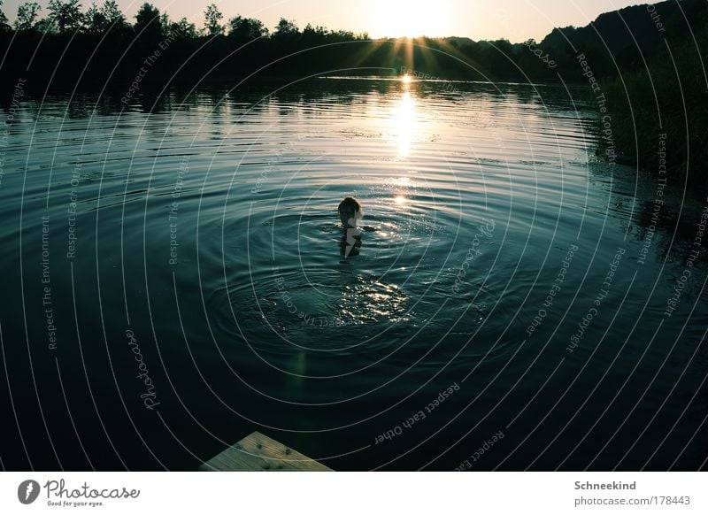 The last round through the lake Colour photo Exterior shot Copy Space left Copy Space right Copy Space bottom Day Evening Light Shadow Reflection