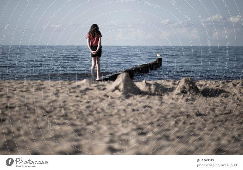 dream Colour photo Exterior shot Morning Light Shallow depth of field Long shot Elegant Life Harmonious Well-being Contentment Senses Relaxation Calm Meditation