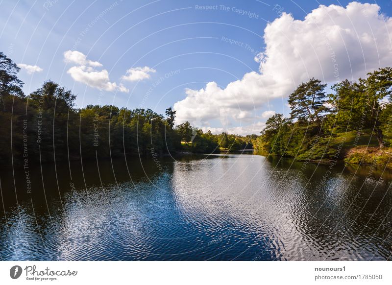 Summer at the lake Environment Nature Landscape Plant Water Sky Clouds Sunlight Beautiful weather Warmth Tree Bushes Body of water Blue Green White Colour photo