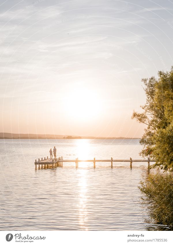 Sunset Masculine Feminine 2 Human being Water Sky Cloudless sky Horizon Sunrise Sunlight Summer Beautiful weather Coast Lakeside River bank Pond Kissing Love