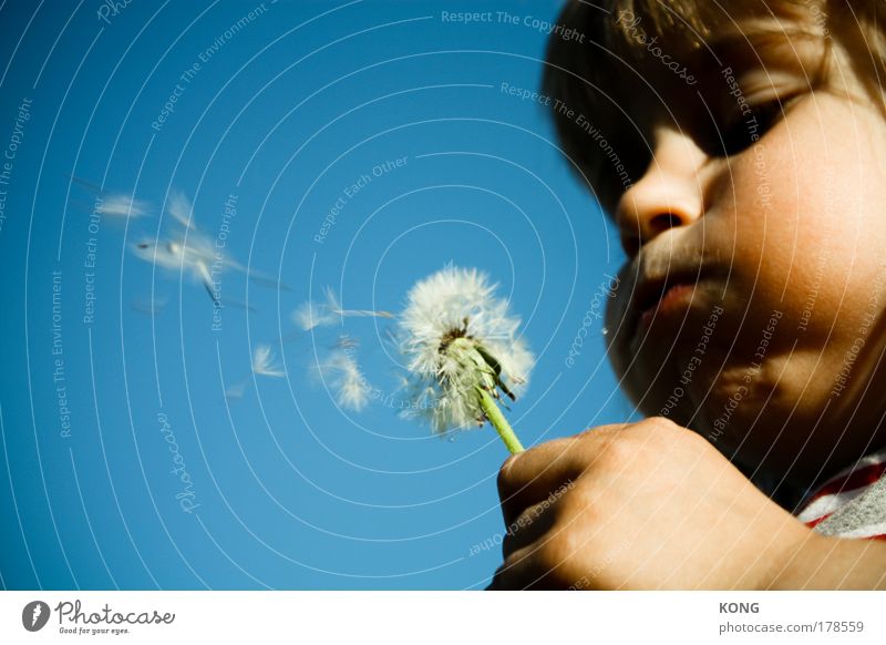 pfffffft Colour photo Copy Space left Sunlight Shallow depth of field Portrait photograph Parenting Child Aviation Toddler Boy (child) Mouth 3 - 8 years Infancy