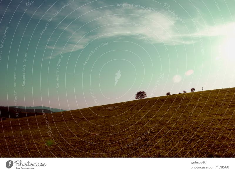 Fribourg Tuscany Colour photo Exterior shot Deserted Day Evening Contrast Silhouette Reflection Sunbeam Back-light Nature Landscape Plant Earth Sky Clouds