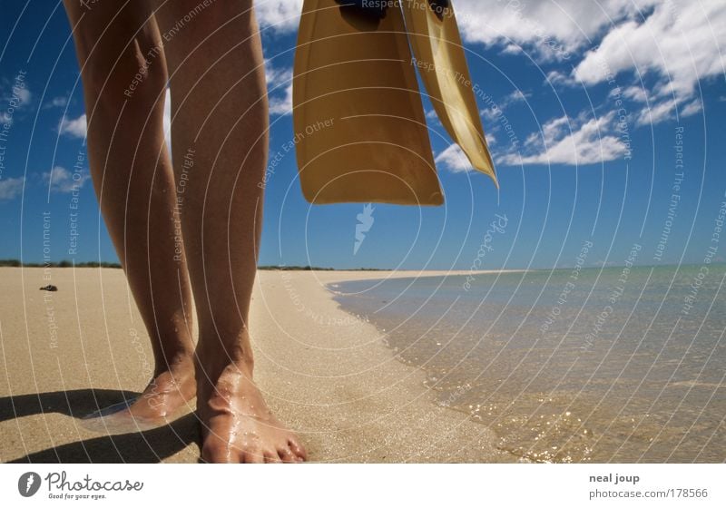 The perfect beach Colour photo Exterior shot Worm's-eye view Aquatics Dive Snorkeling Legs Feet 1 Human being Beach Ocean Turquoise Bay Western Australia