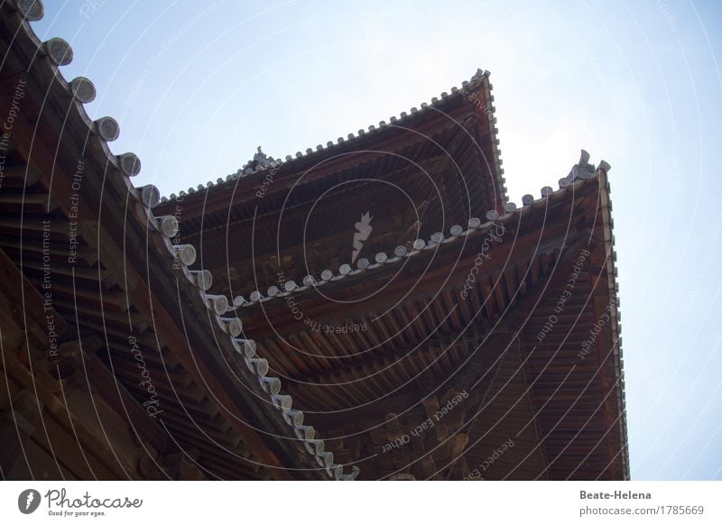 temple roofs Sky Summer Beautiful weather Japan Manmade structures Architecture Temple Roof Eaves Tourist Attraction Wood Esthetic Sharp-edged Exotic Brown