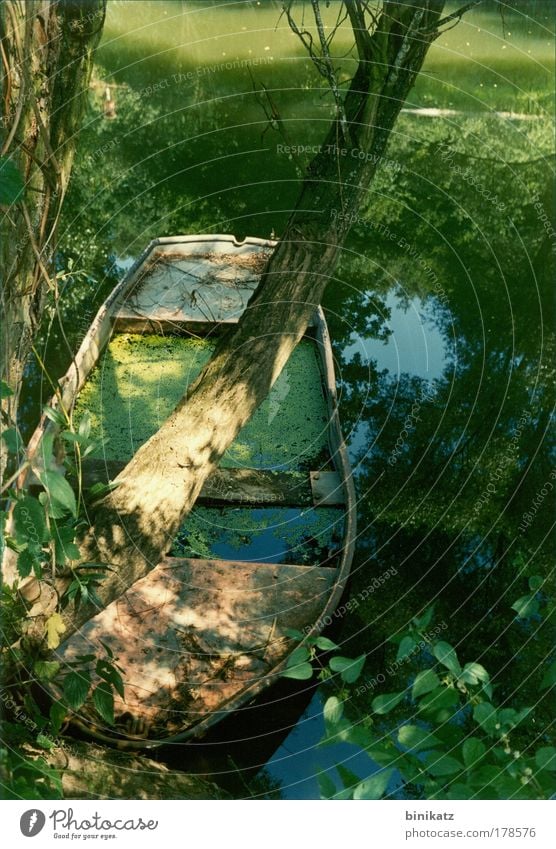 boat sinking Colour photo Subdued colour Exterior shot Deserted Copy Space right Day Shadow Contrast Reflection Central perspective Environment Nature Landscape