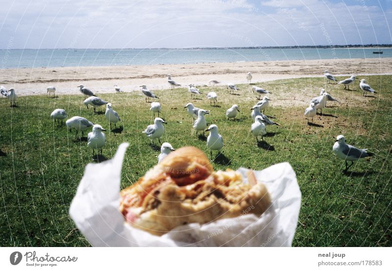 Burger with the lot -1- Colour photo Exterior shot Fast food Hamburger Vacation & Travel Eating Wait Brash Rebellious Anticipation Endurance Wanderlust Envy